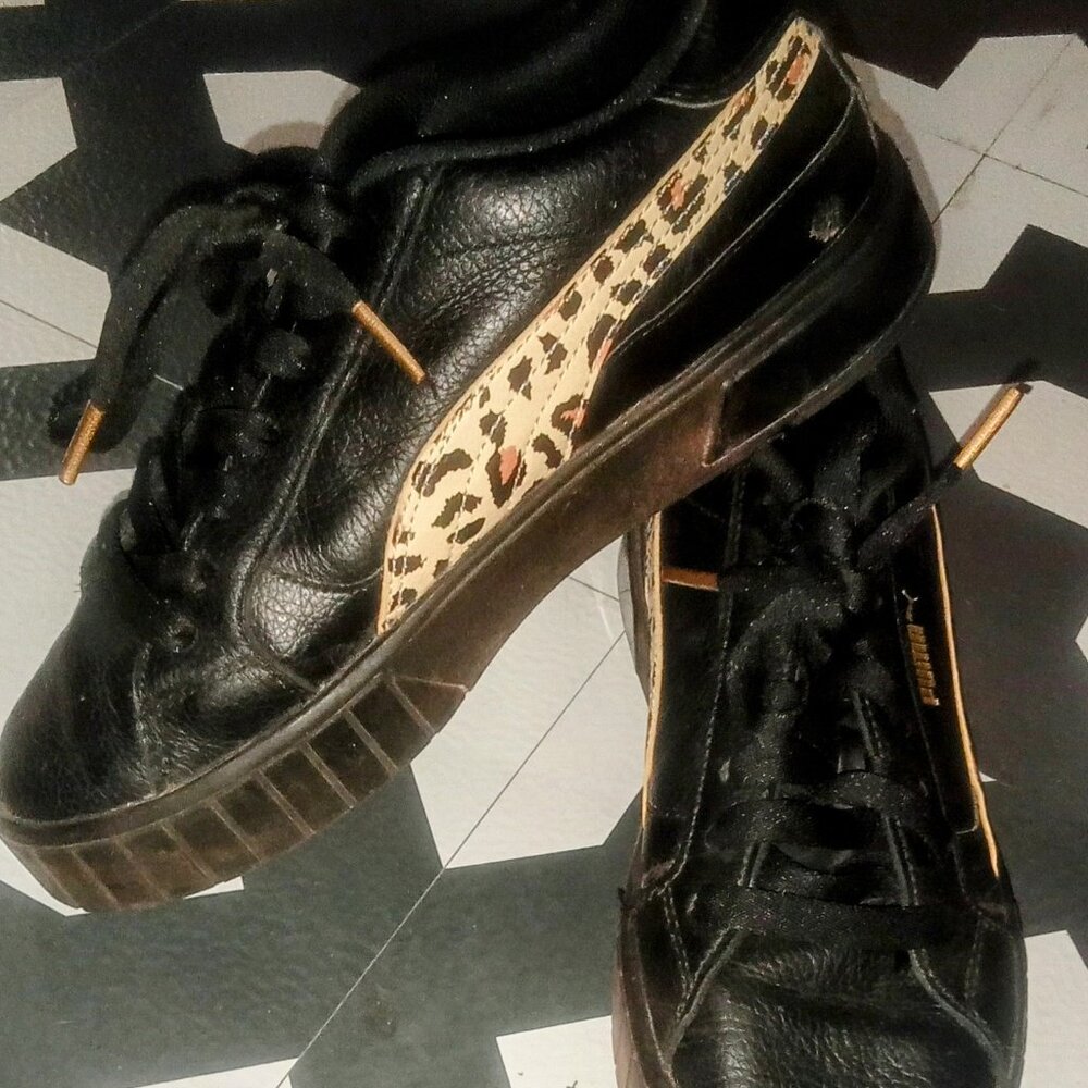 Puma with Cheetah stripe